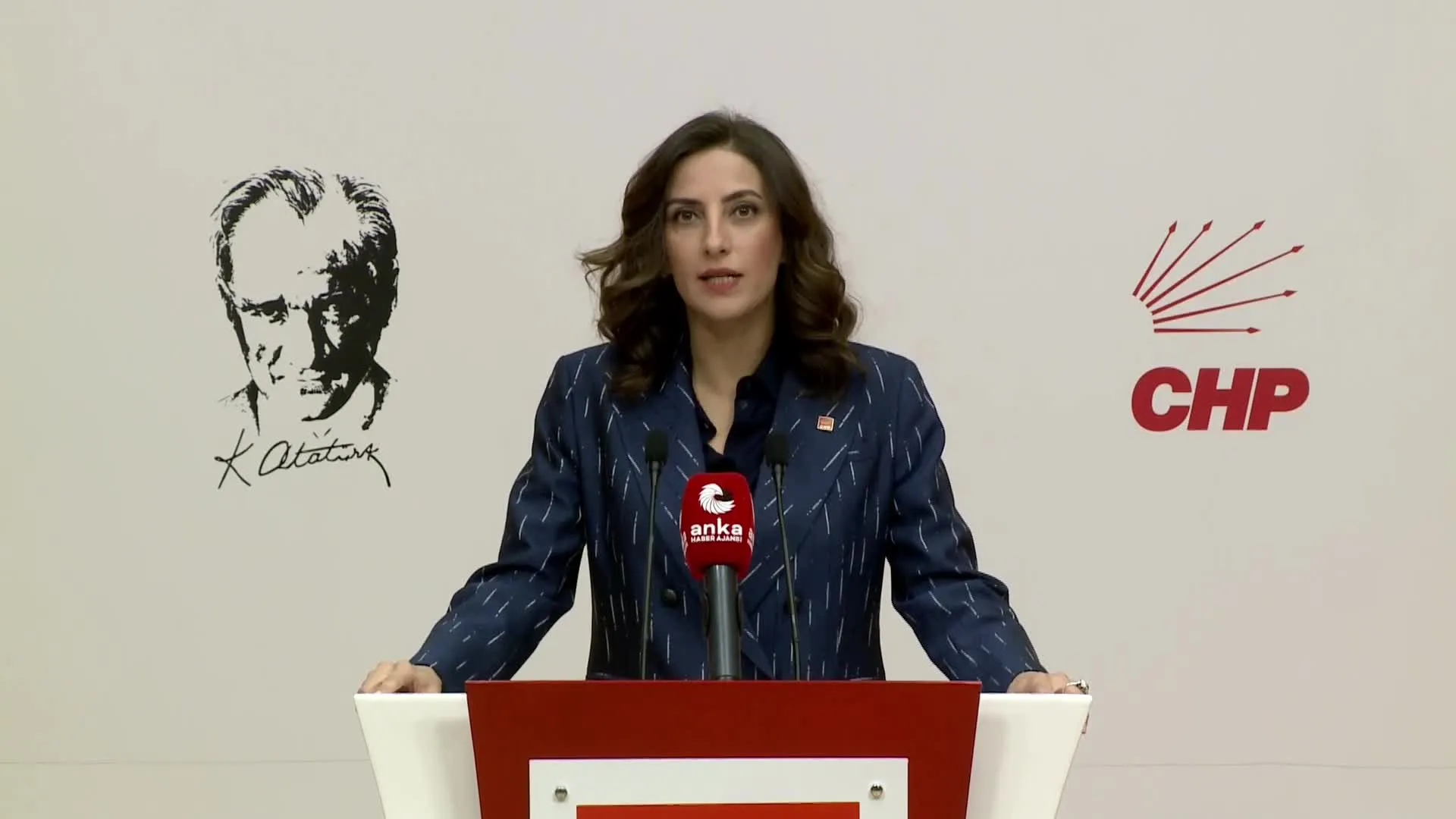 CHP’li Rızvanoğlu: “4 milyon 800 bin metrekare alan bir gecede orman sınırları dışına çıkarıldı”